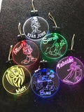 Light up Christmas Decorations