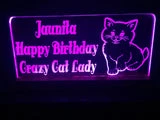Fluffy Cat LED light - designaglo