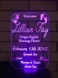 Baby Plaque