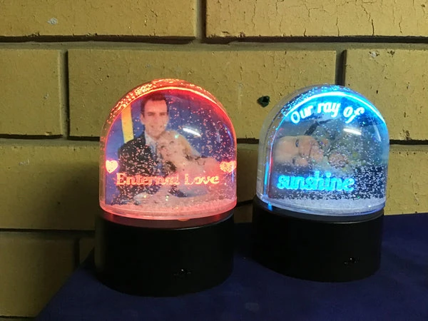 LED Snow Globes