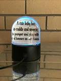 LED Snow Globes