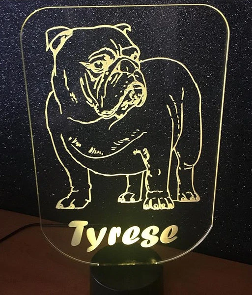 Dog LED light
